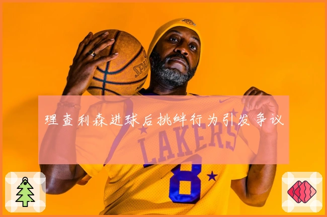 理查利森进球后挑衅行为引发争议